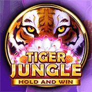 Hình ảnh minh họa độ biến động trong game slot